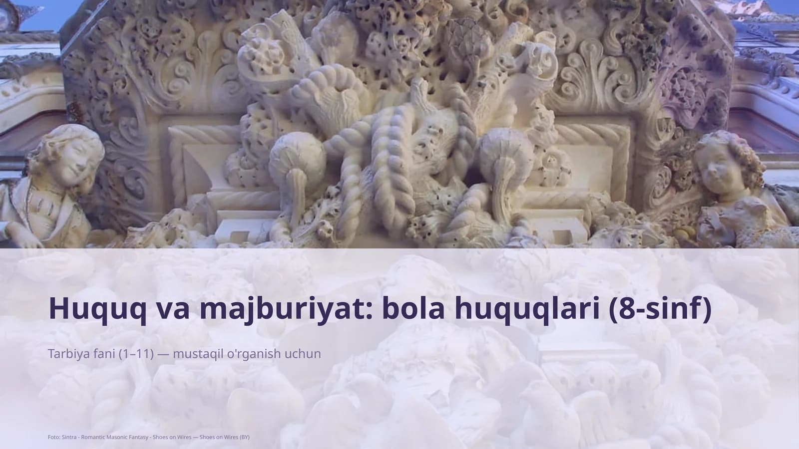 Huquq va majburiyat: bola huquqlari (8-sinf)