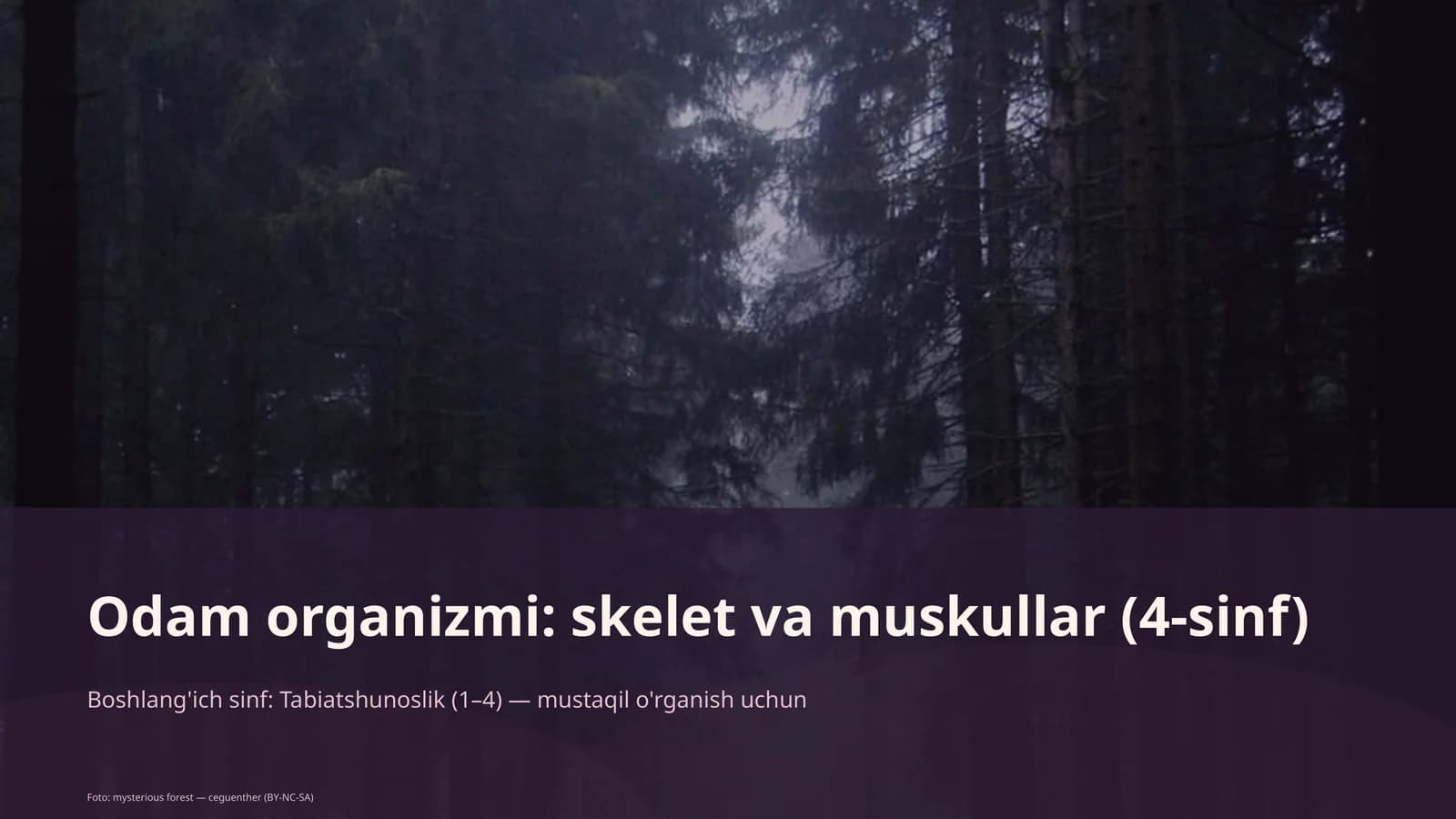 Odam organizmi: skelet va muskullar (4-sinf)