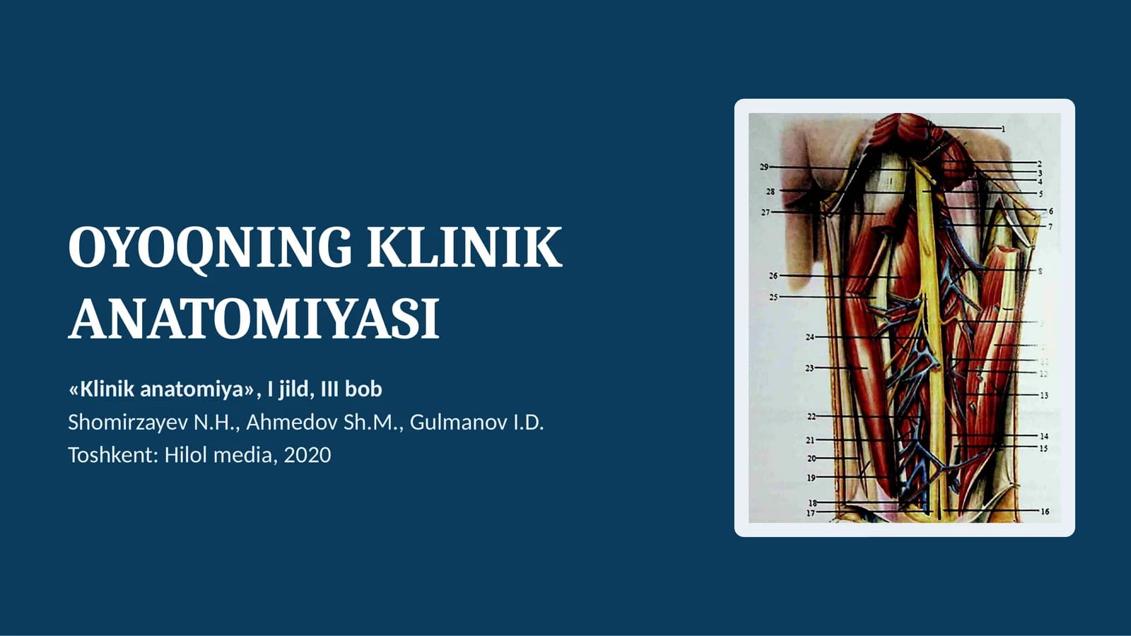 OYOQNING KLINIK ANATOMIYASI