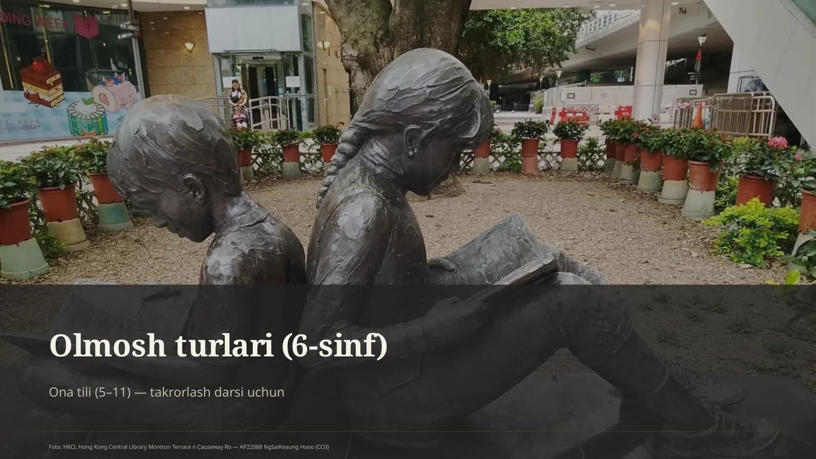 Olmosh turlari (6-sinf)