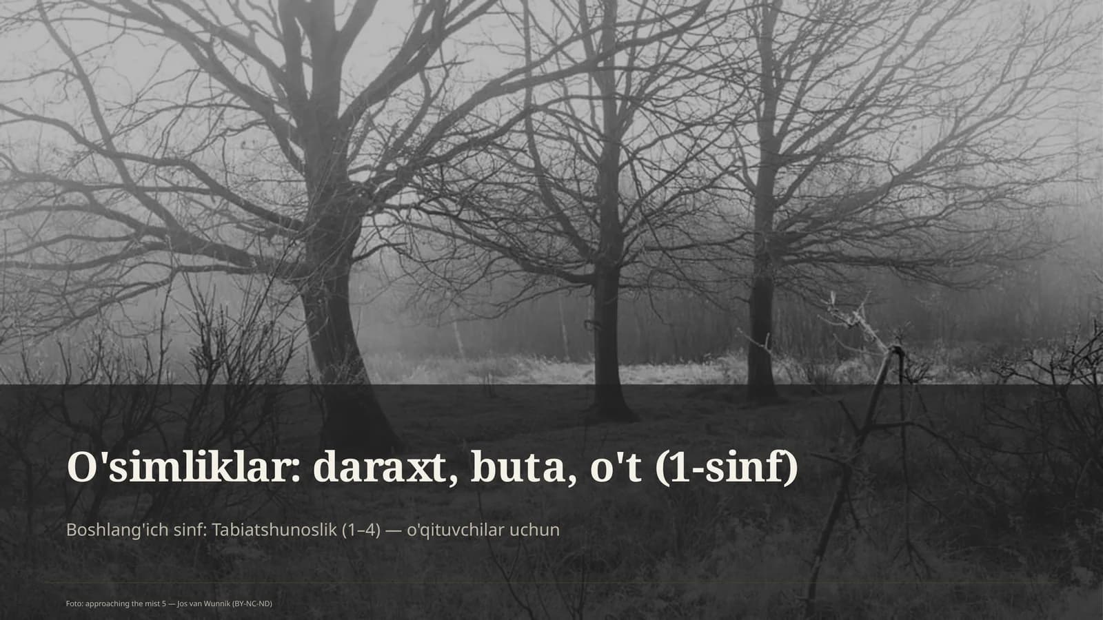 O'simliklar: daraxt, buta, o't