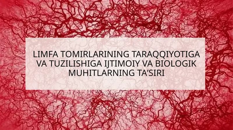 Limfa Tomirlarining Taraqqiyotiga va Tuzilishiga Ijtimoiy va Biologik Muhitlarning Ta'siri