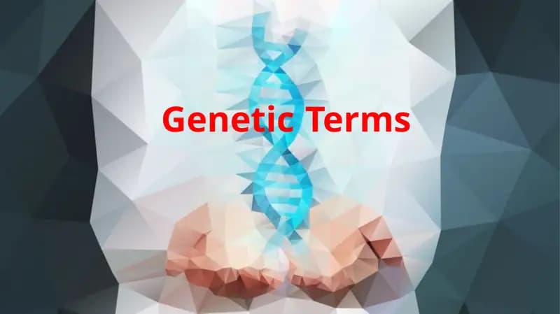 GeneticTerms