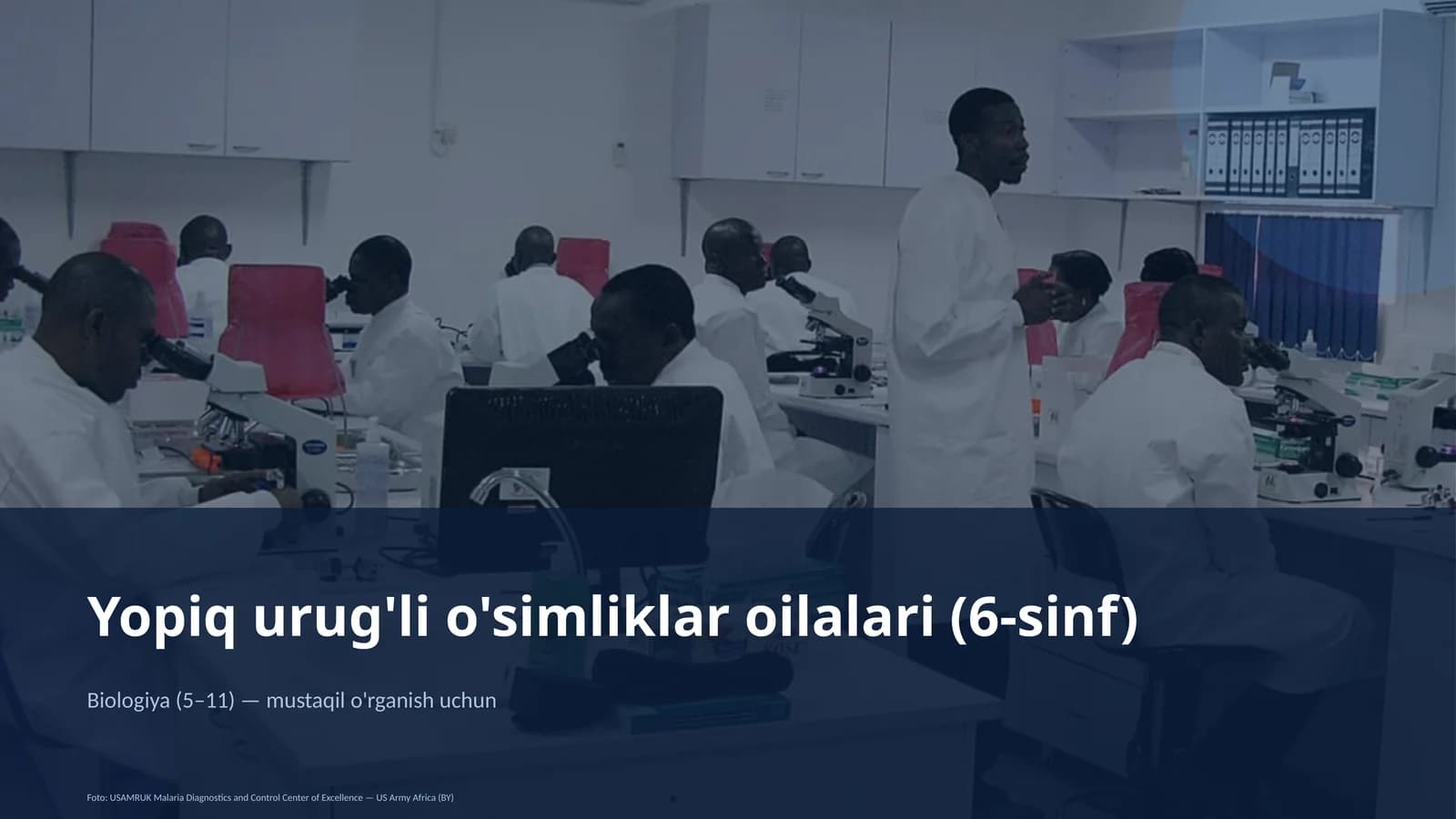 Yopiq urug'li o'simliklar oilalari (6-sinf)