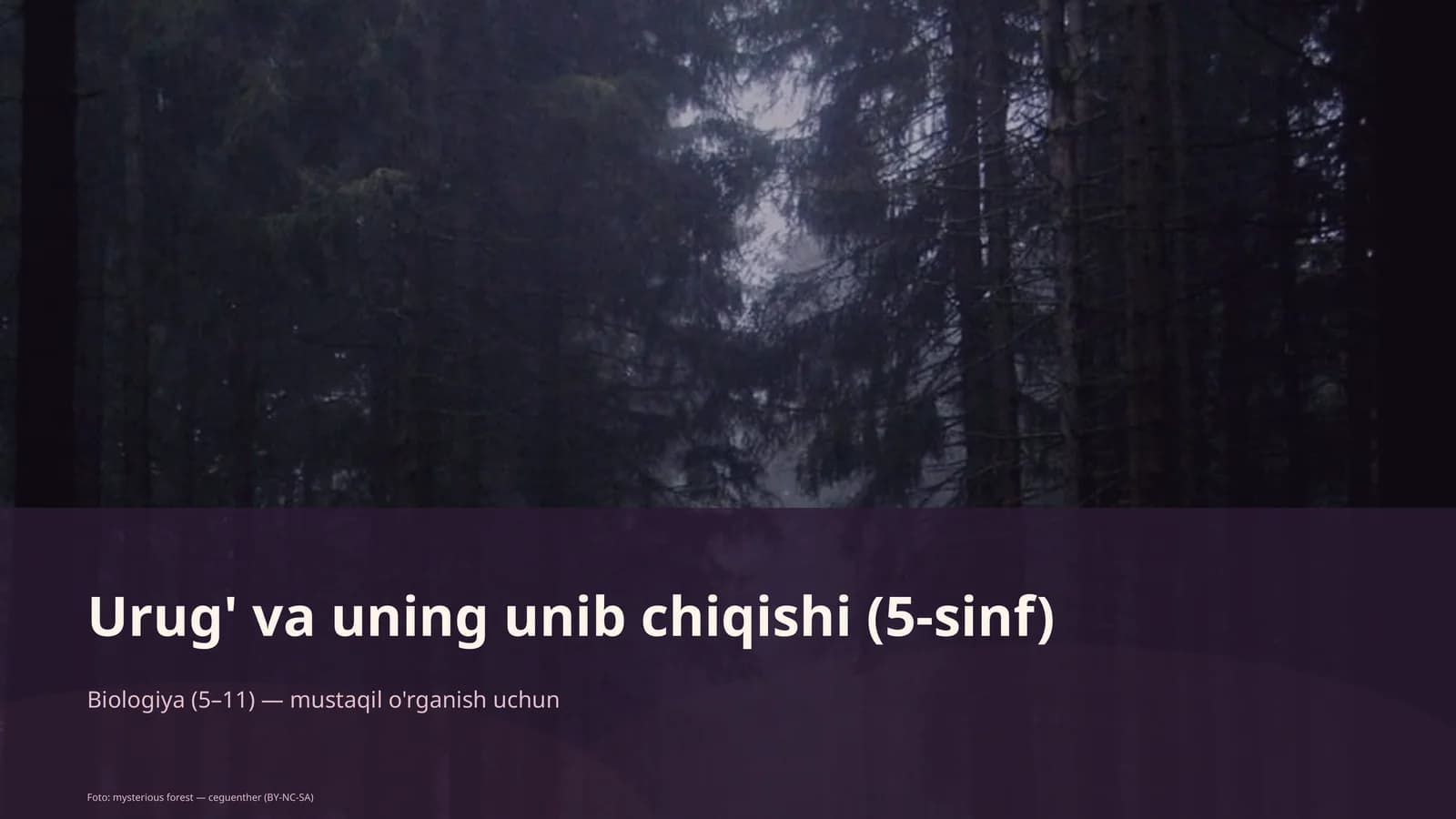 Urug' va uning unib chiqishi (5-sinf)