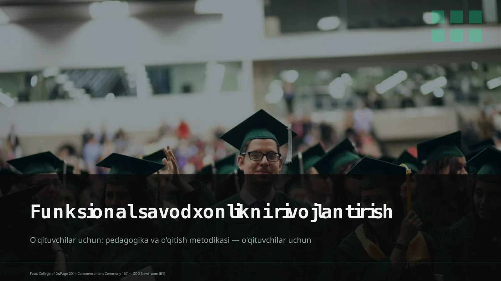Funksional savodxonlikni rivojlantirish