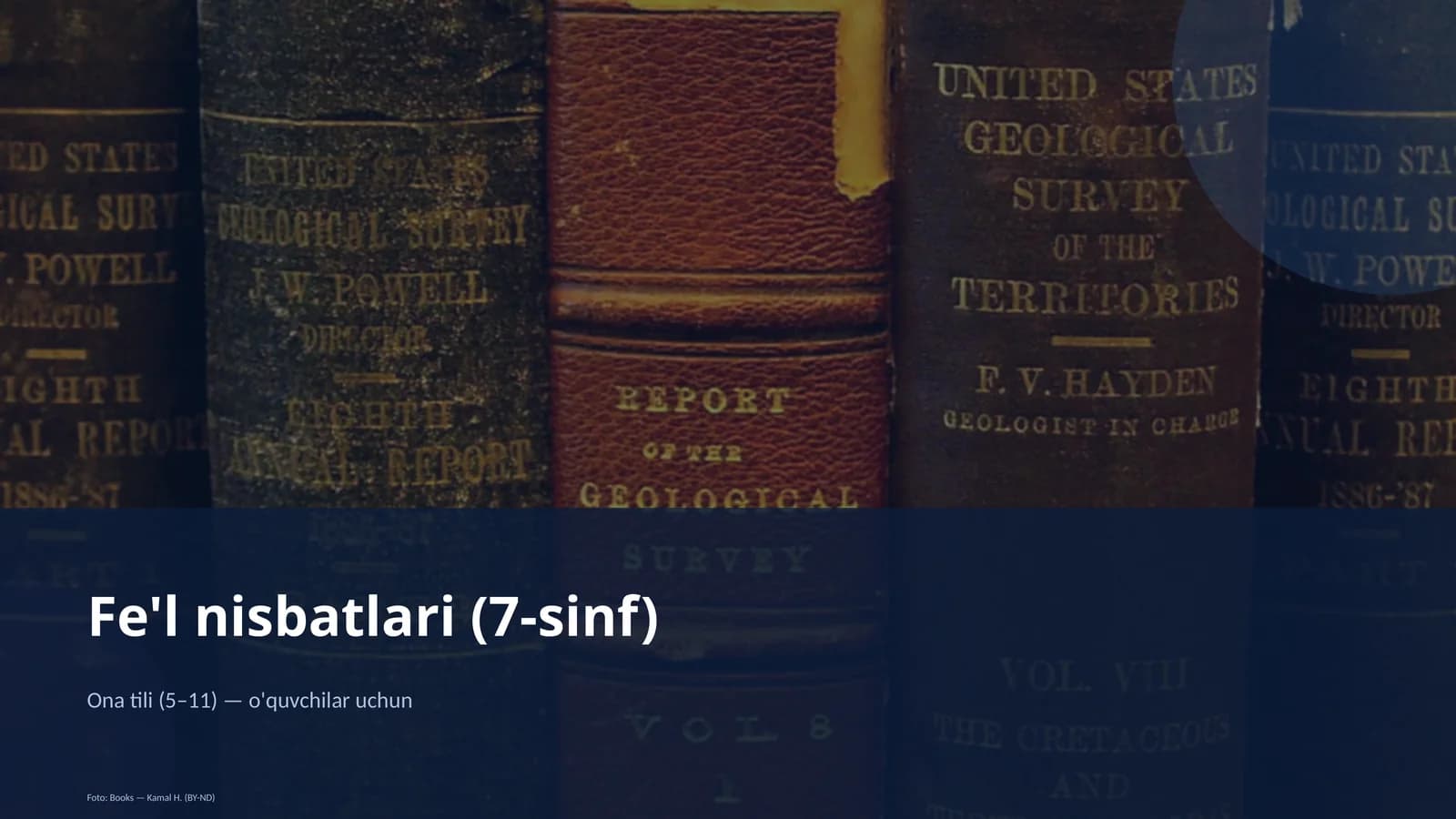 Fe'l nisbatlari (7-sinf)