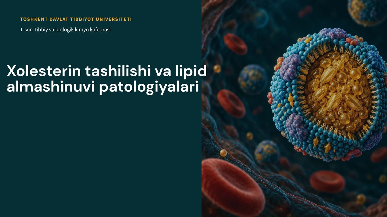 Xolesterintashilishivalipidalmashinuvipatologiyalari