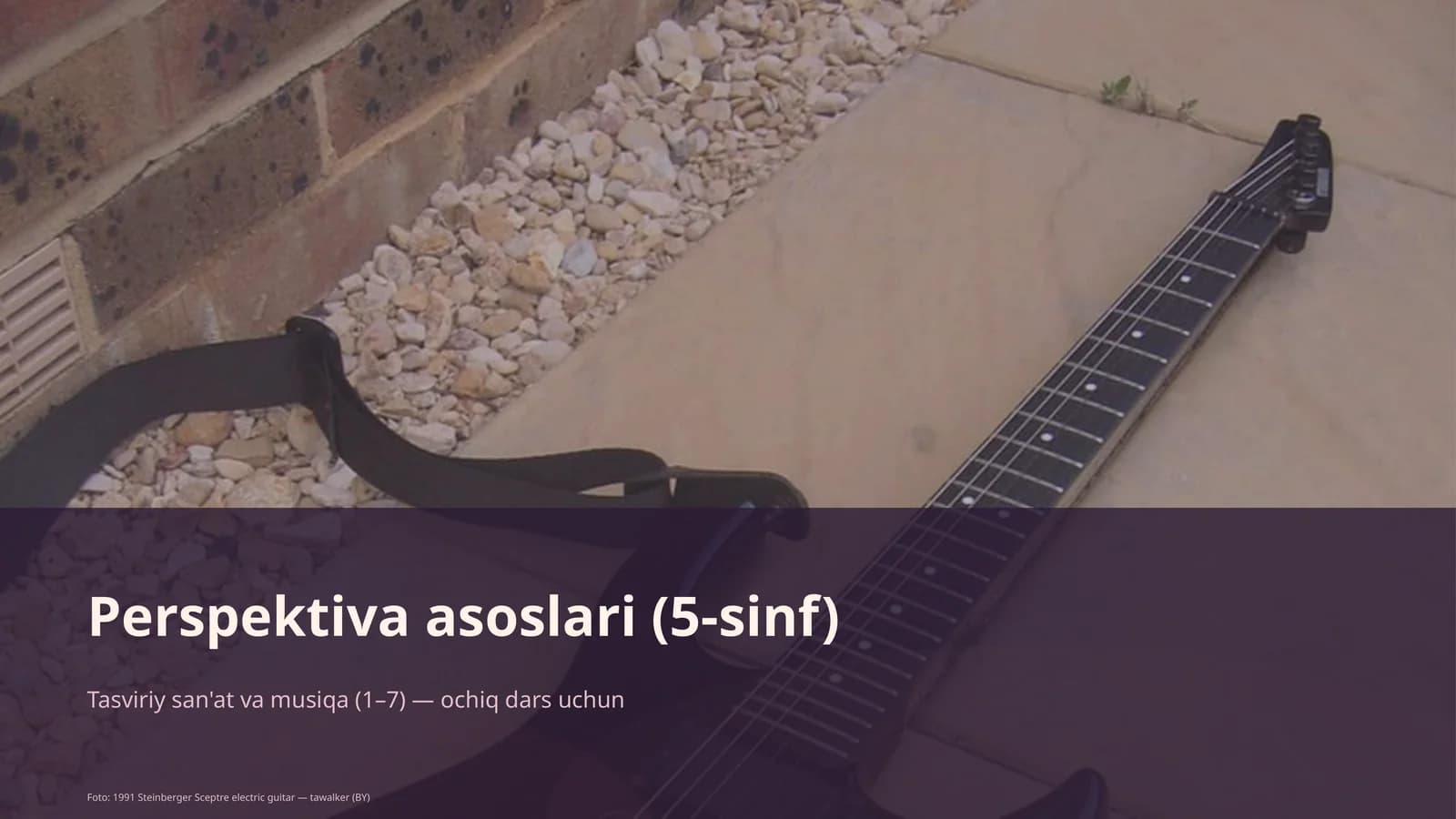 Perspektiva asoslari (5-sinf)