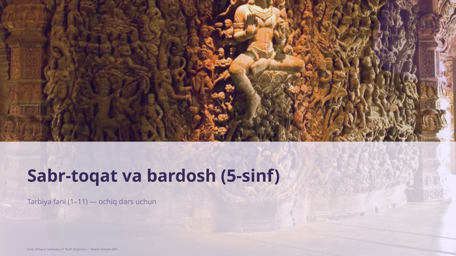 Sabr-toqat va bardosh (5-sinf)