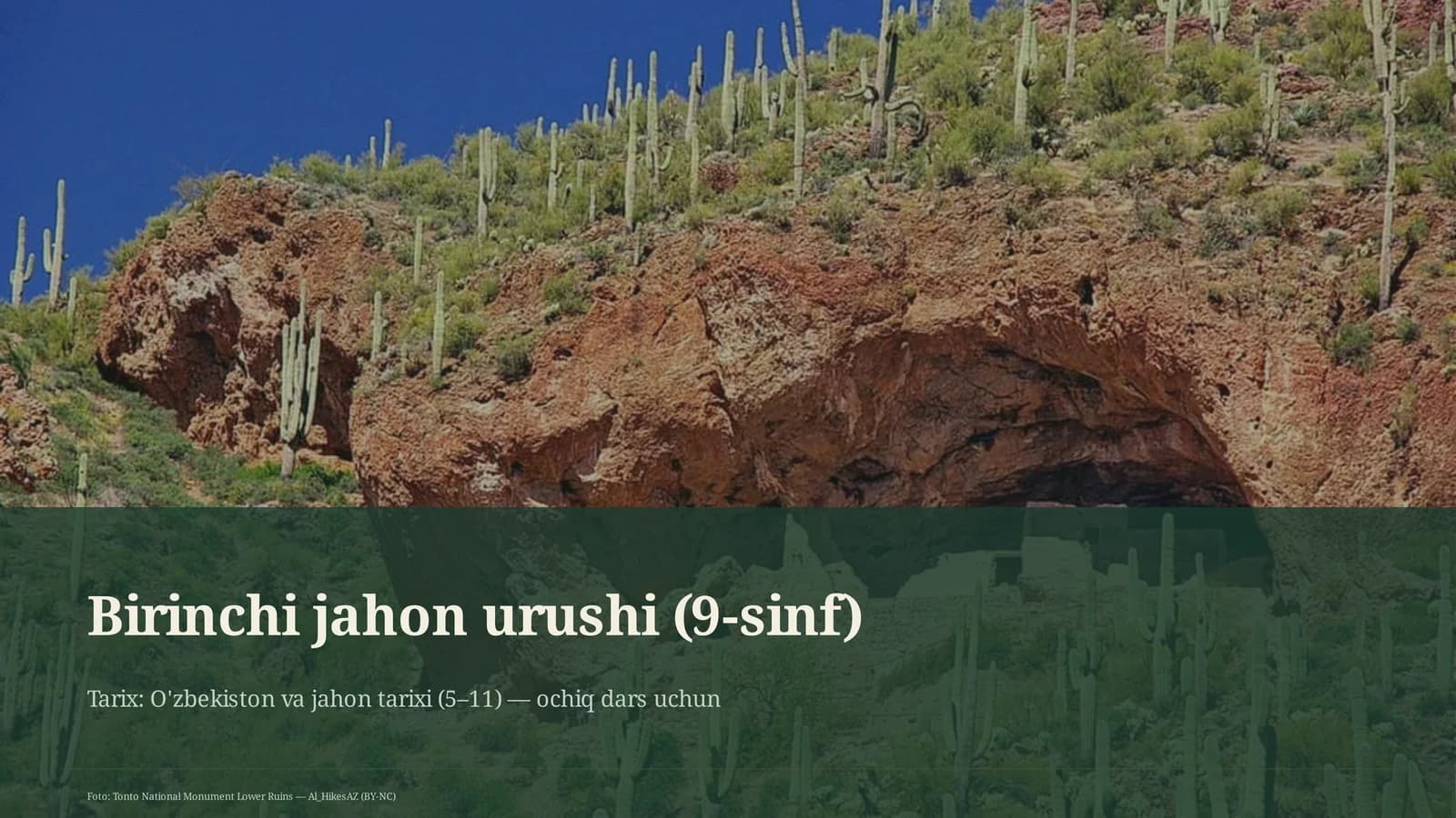 Birinchi jahon urushi (9-sinf)