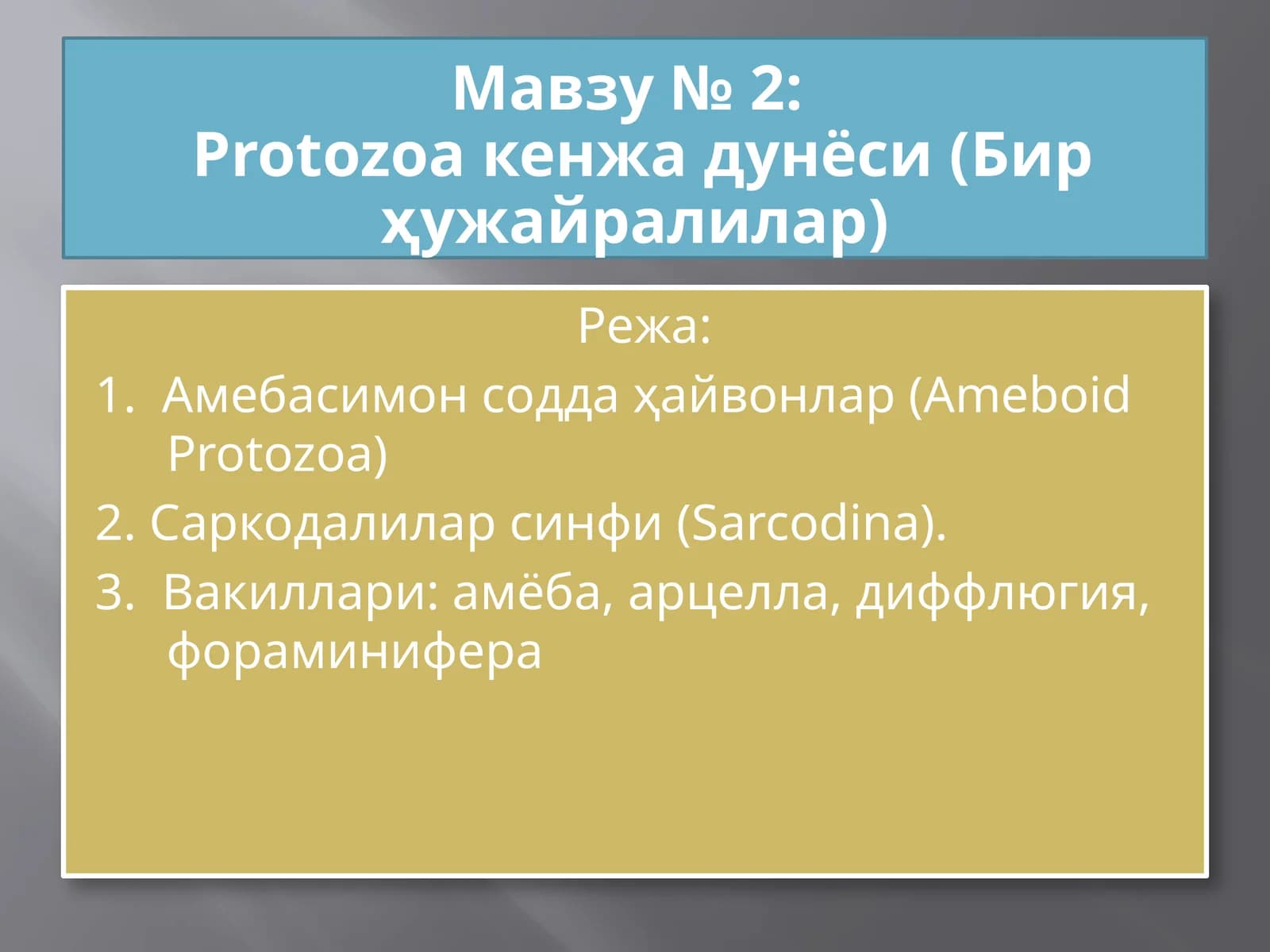Protozoa кенжа дунёси (Бир ҳужайралилар)
