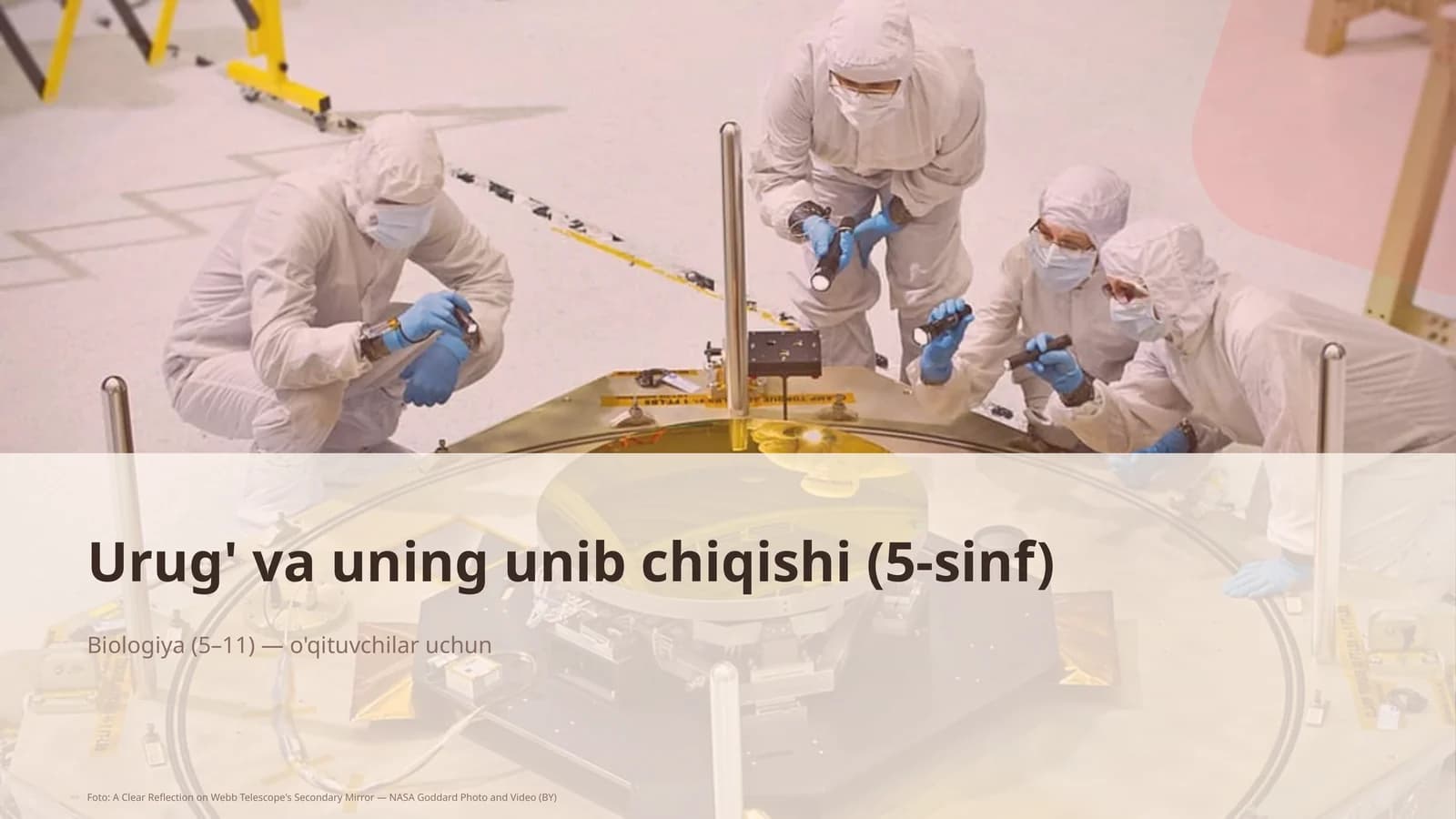 Urug' va uning unib chiqishi (5-sinf)