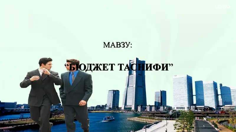Byudjet tasnifi.