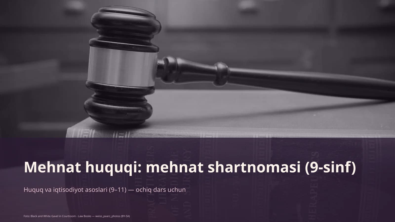 Mehnat huquqi: mehnat shartnomasi (9-sinf)