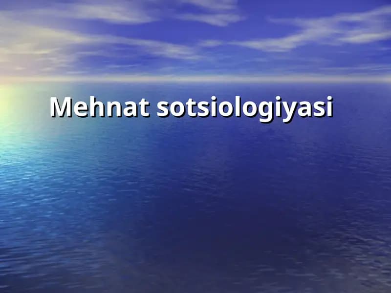 Mehnat sotsiologiyasi