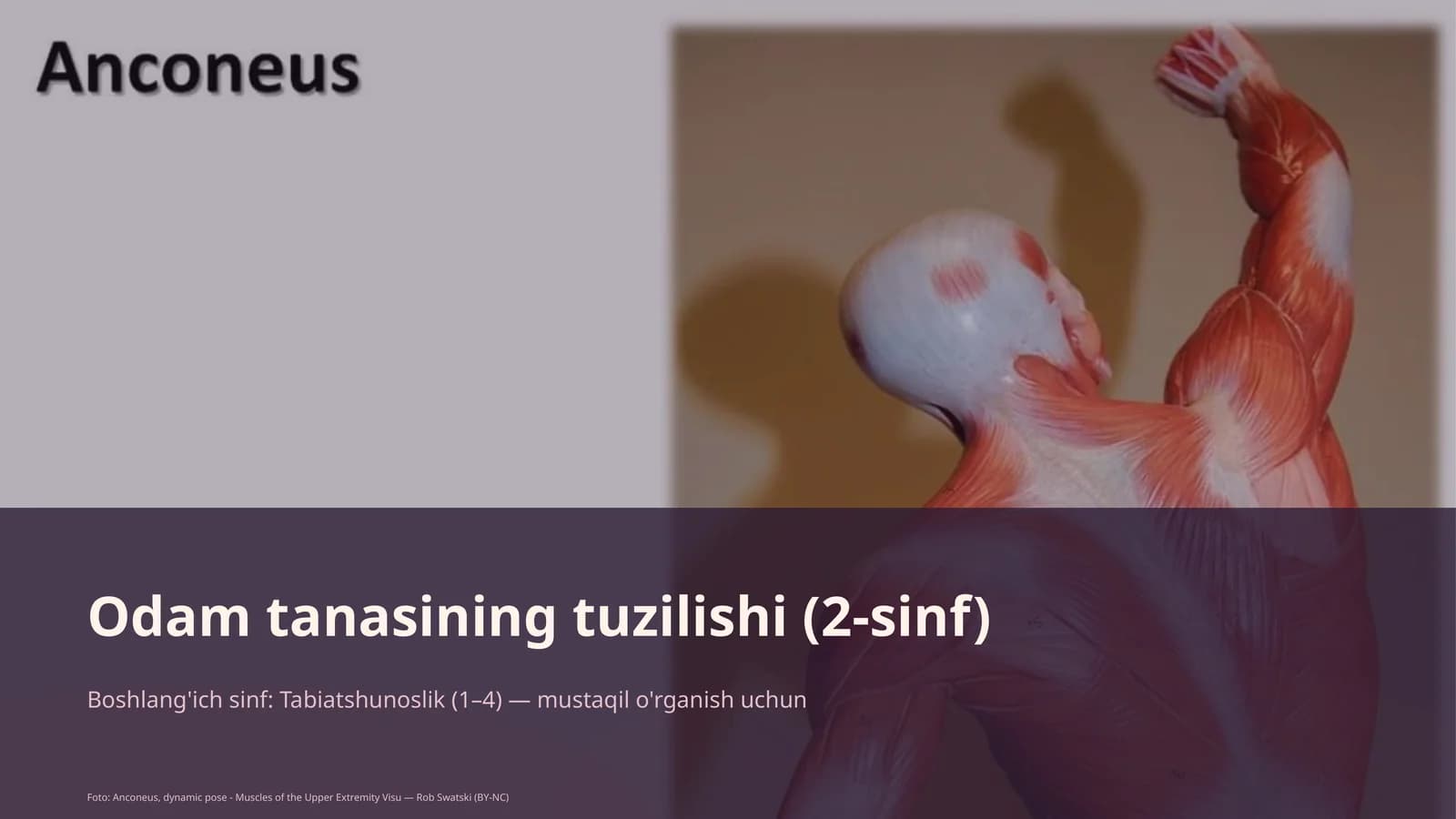 Odam tanasining tuzilishi (2-sinf)