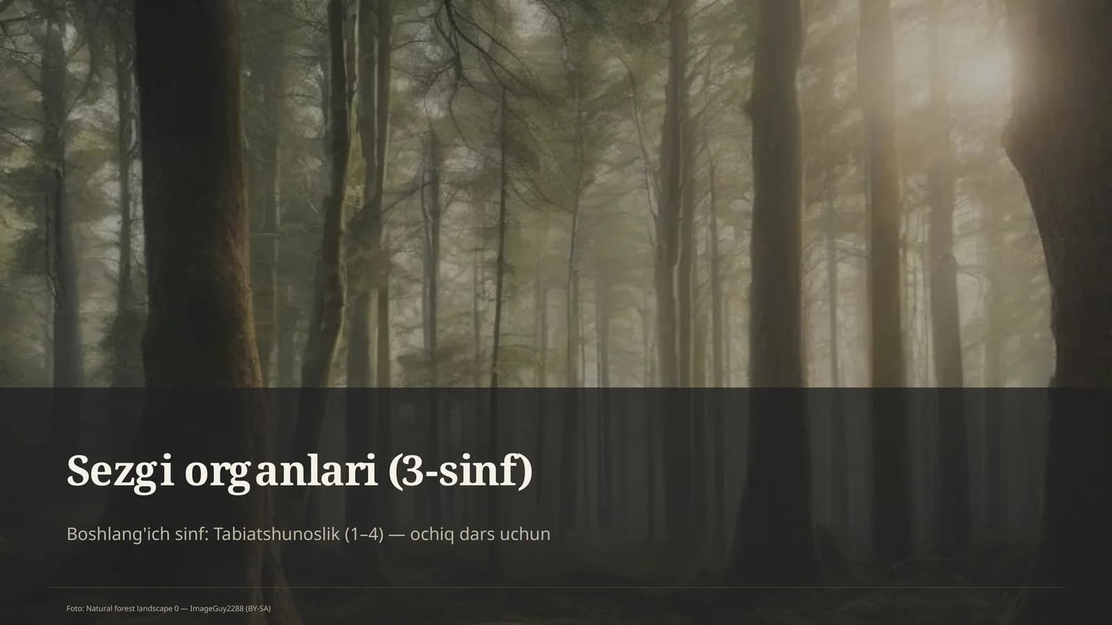 Sezgi organlari (3-sinf)