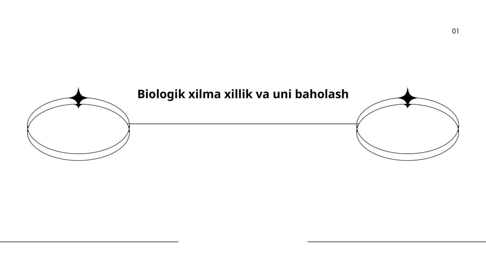 Tur xilma-xilligi