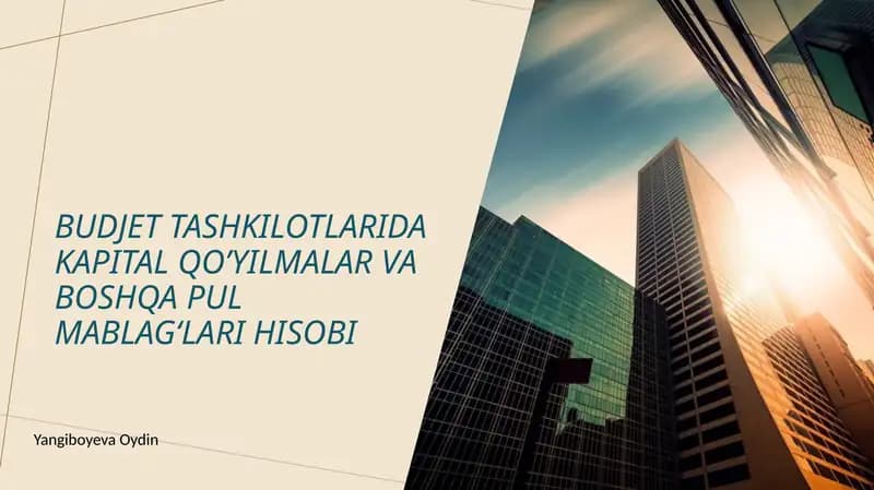 budjet tashkilotlarida kapital qo'yilmalar