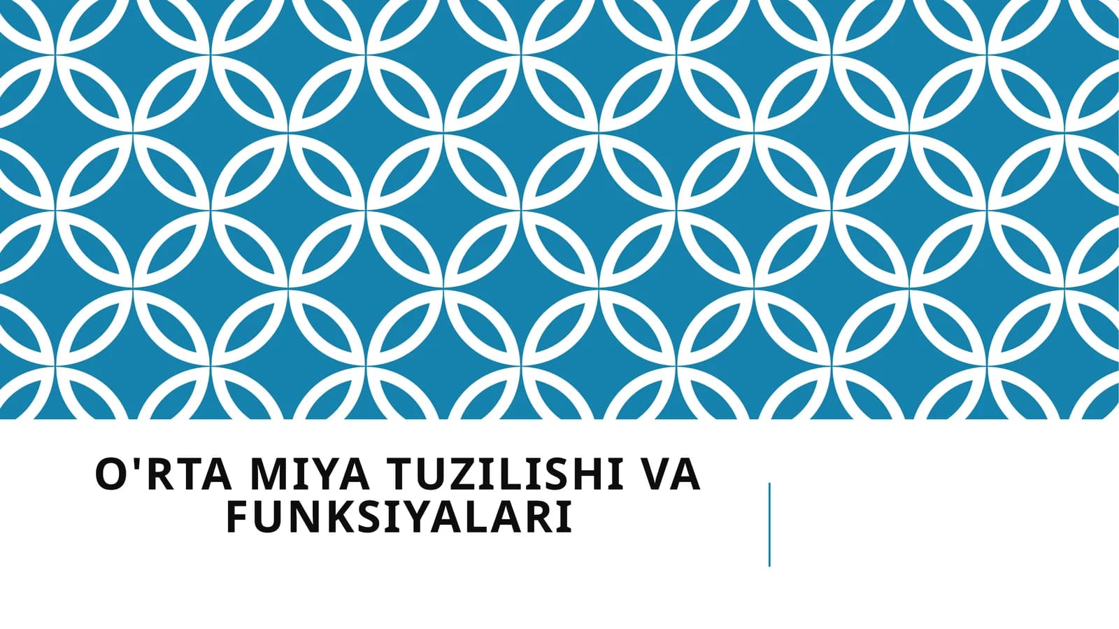 O'rta miya tuzilishi va funksiyalari