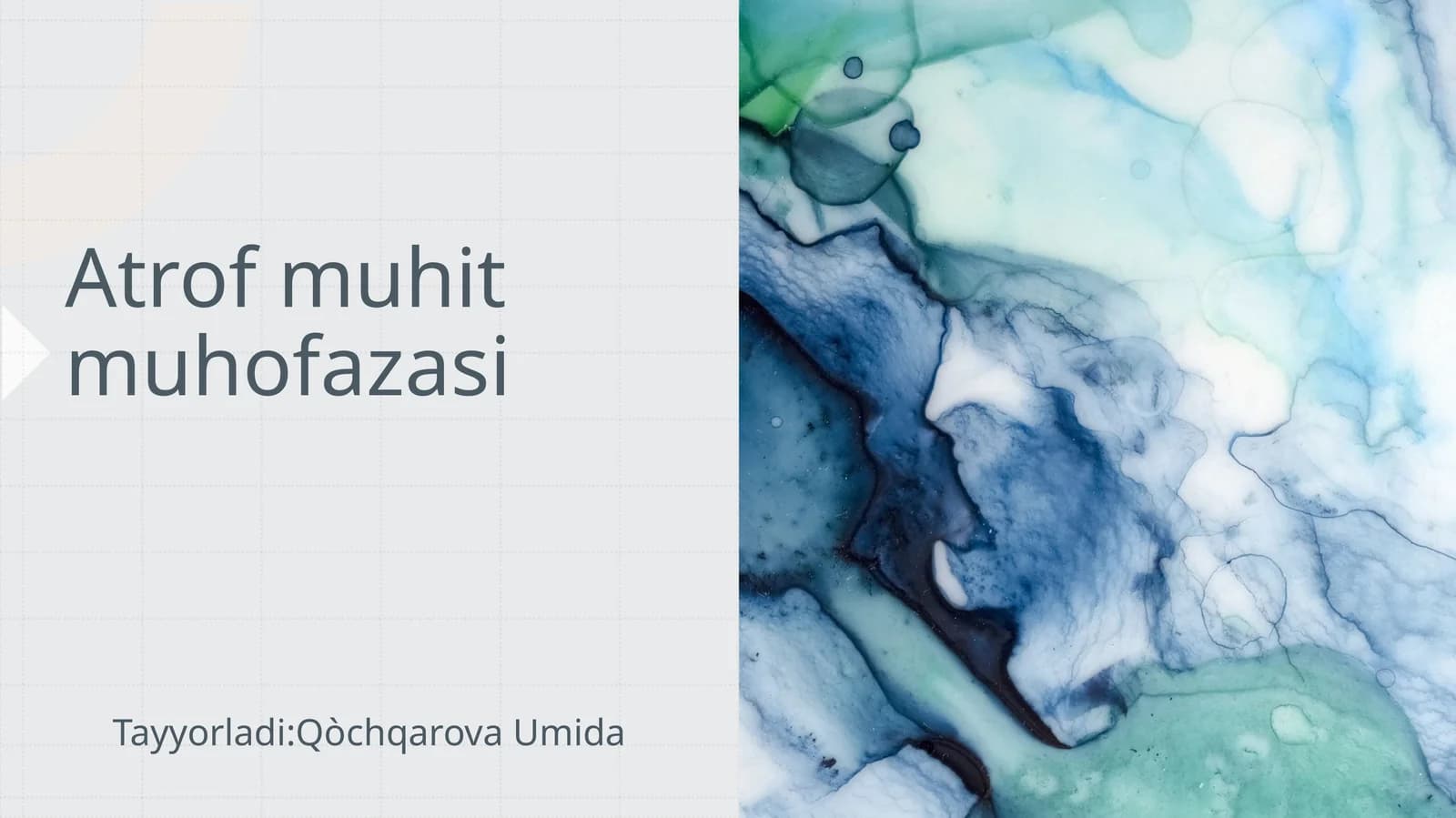 Atrofmuhitmuhofazasi