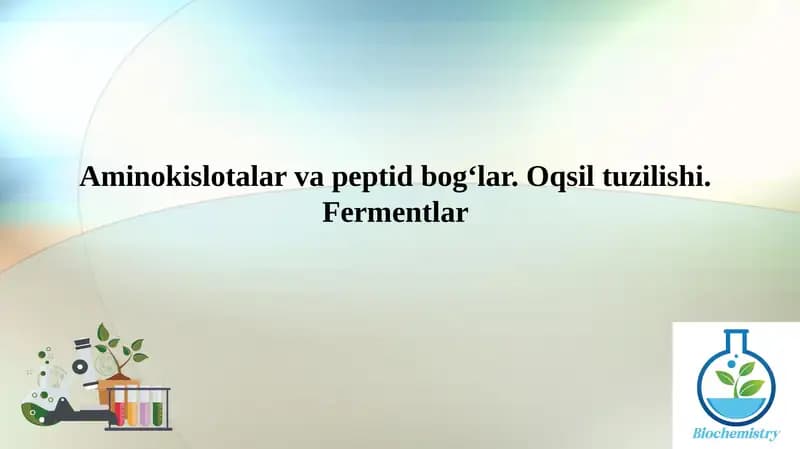 Aminokislotalar va peptid bog‘lar. Oqsil tuzilishi. Fermentlar