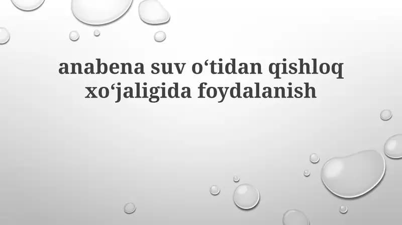 Anabaena suv oʻtlari: Xususiyatlari va afzalliklari