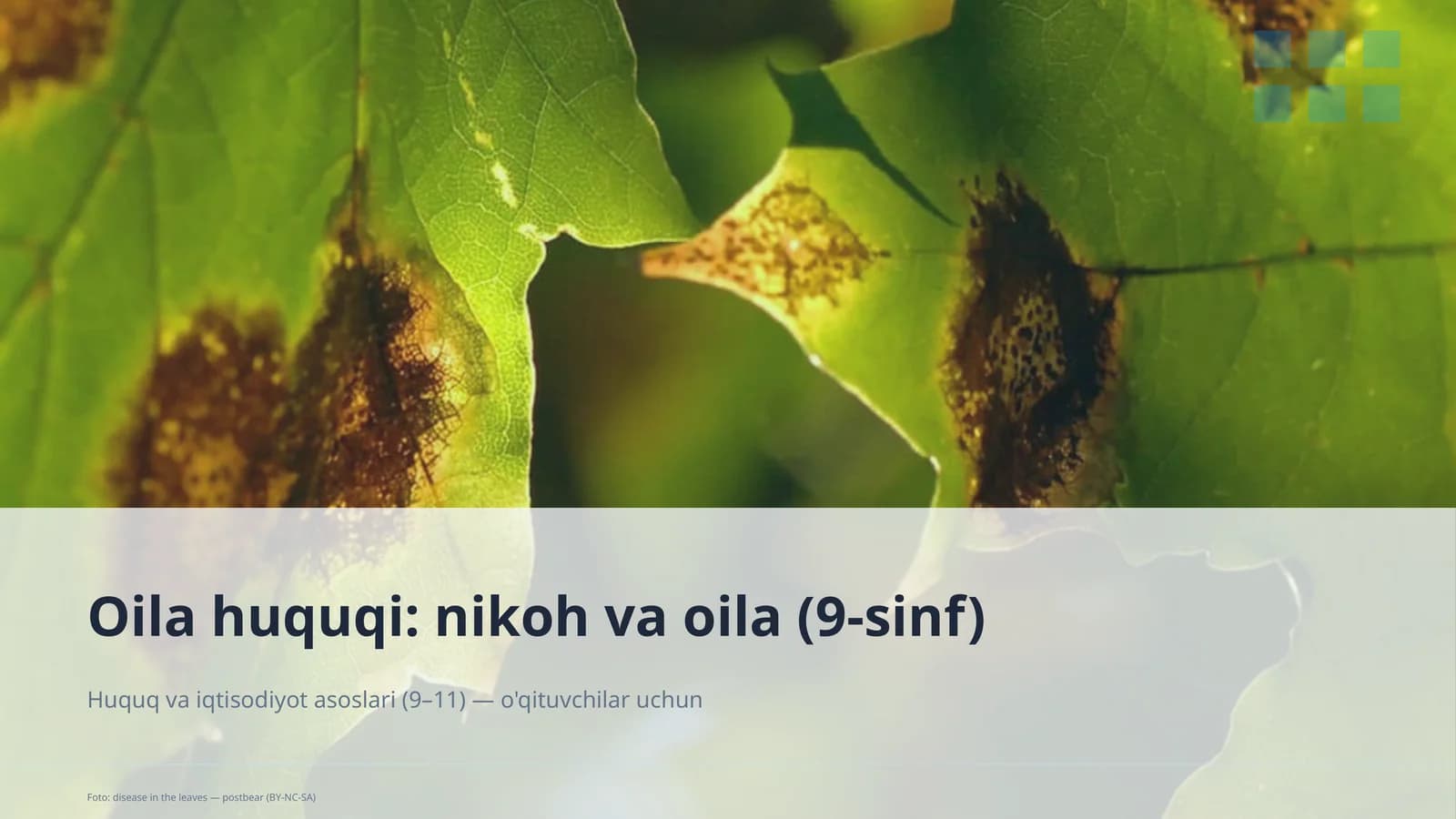 Oilа huquqi: nikoh va oila (9-sinf)