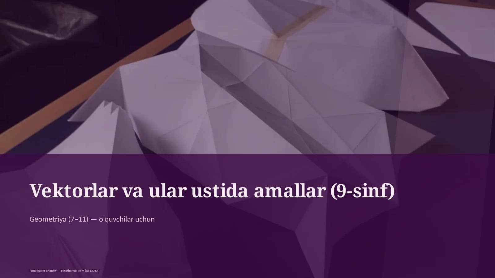 Vektorlar va ular ustida amallar (9-sinf)