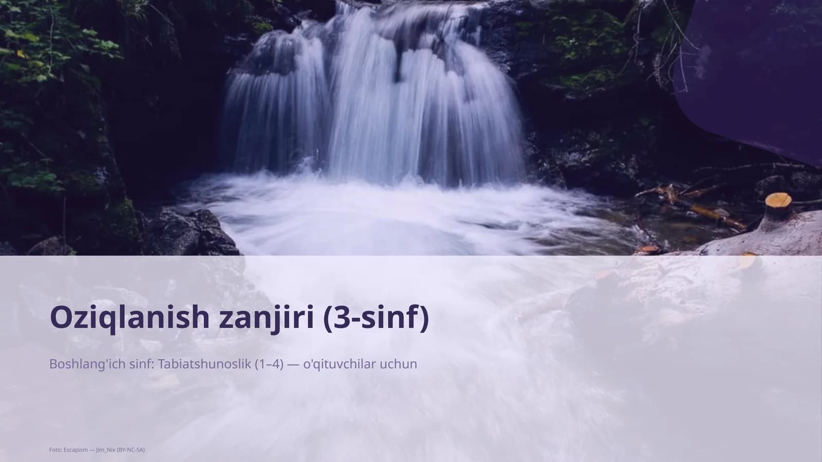 Oziqlanish zanjiri (3-sinf)