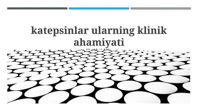 Katepsinlar