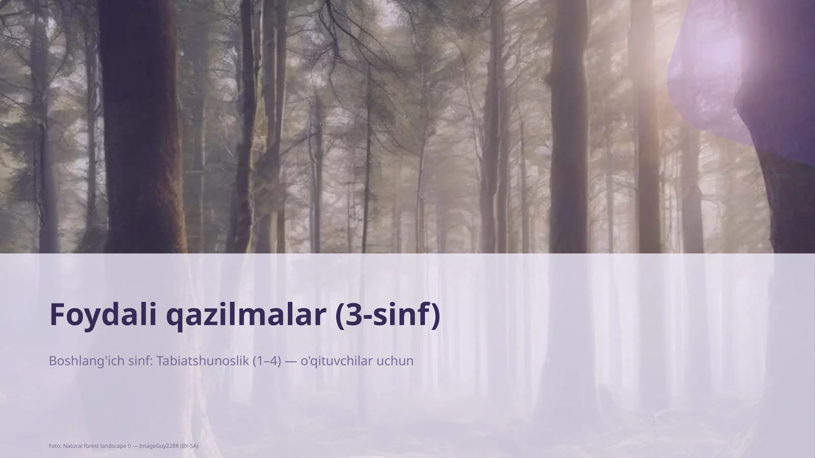 Foydali qazilmalar (3-sinf)