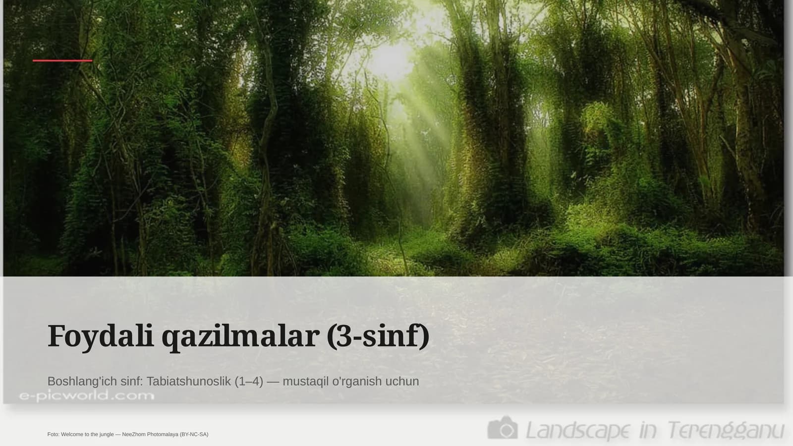 Foydali qazilmalar (3-sinf)