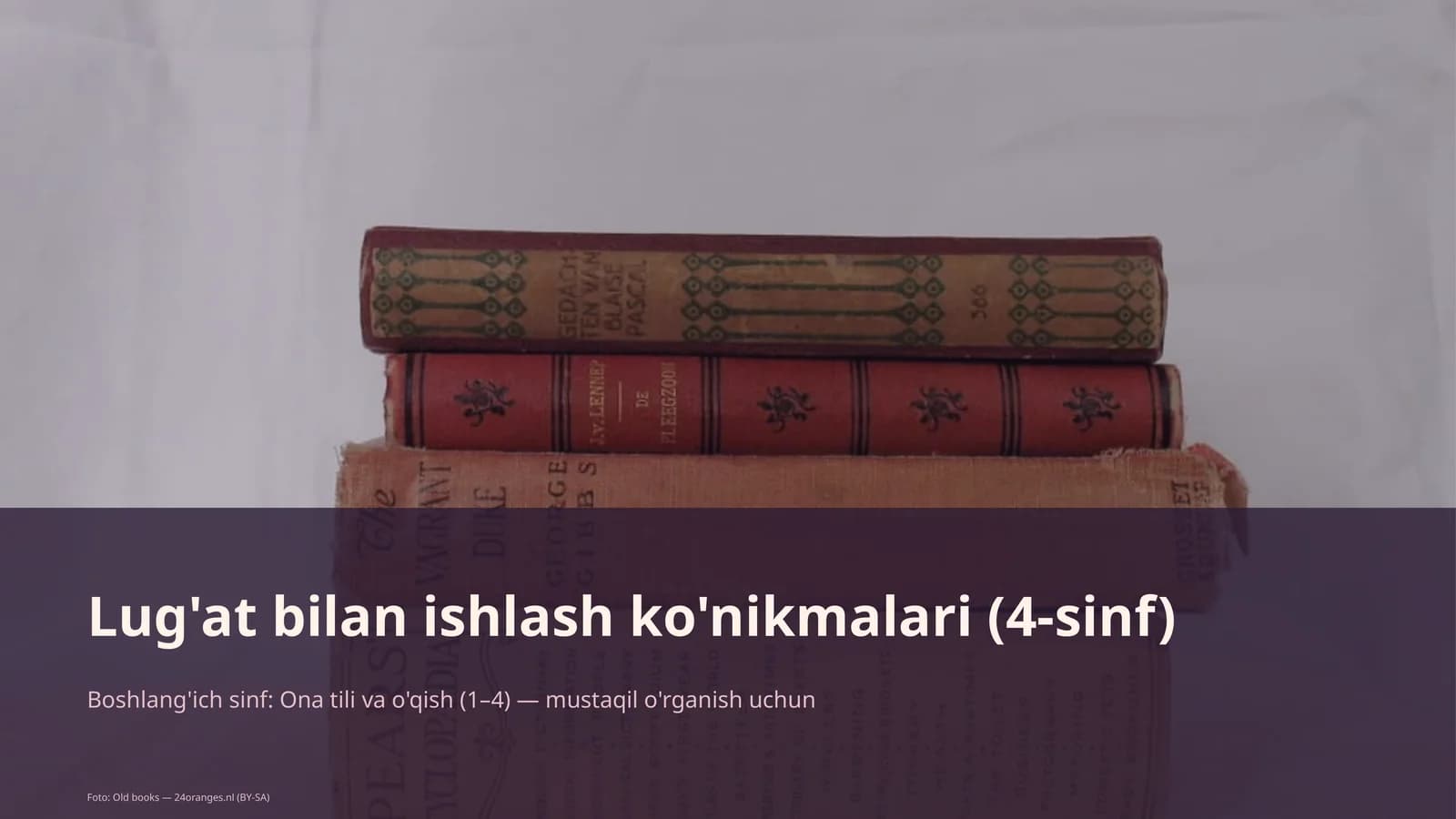 Lug'at bilan ishlash ko'nikmalari (4-sinf)