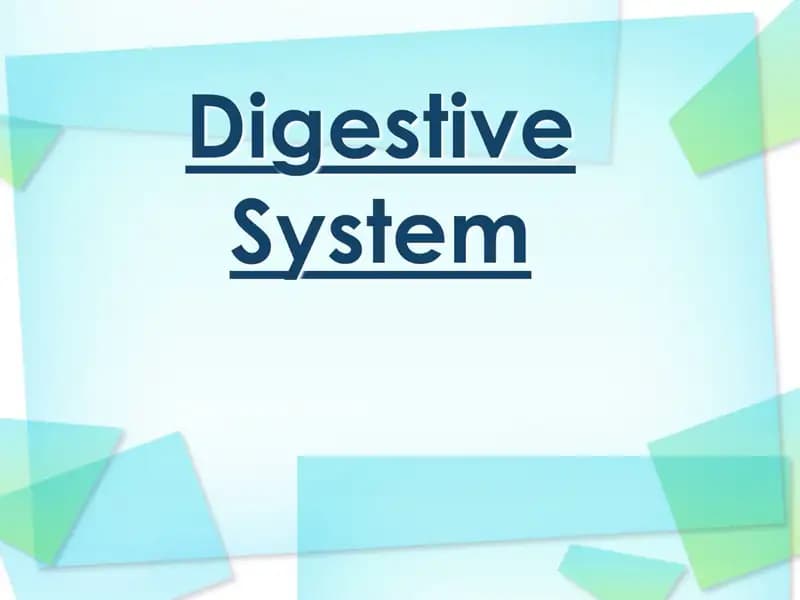 Digestive System
