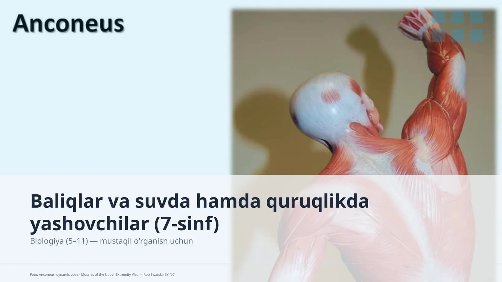 Baliqlar va suvda hamda quruqlikda yashovchilar (7-sinf)