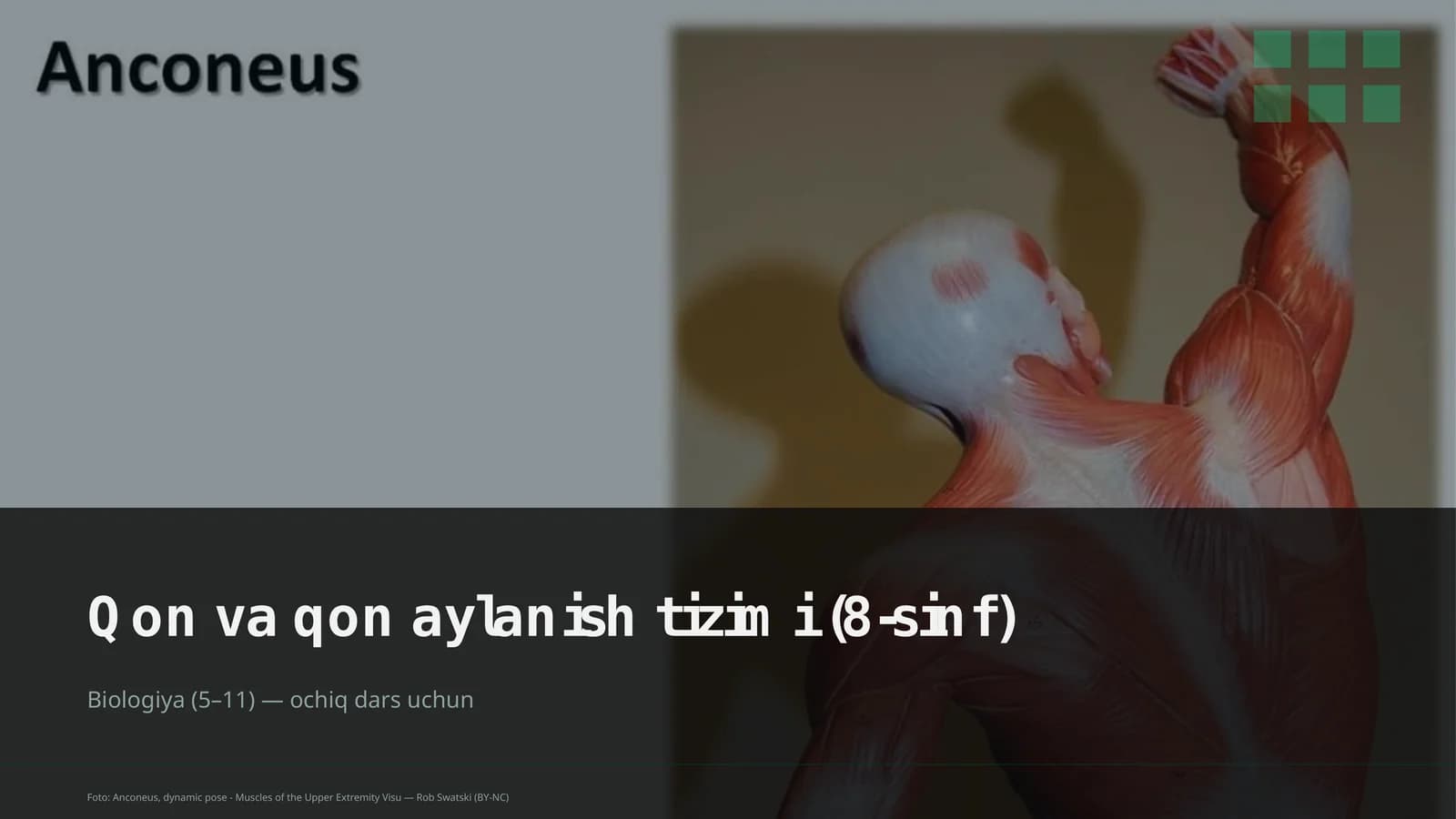 Qon va qon aylanish tizimi (8-sinf)