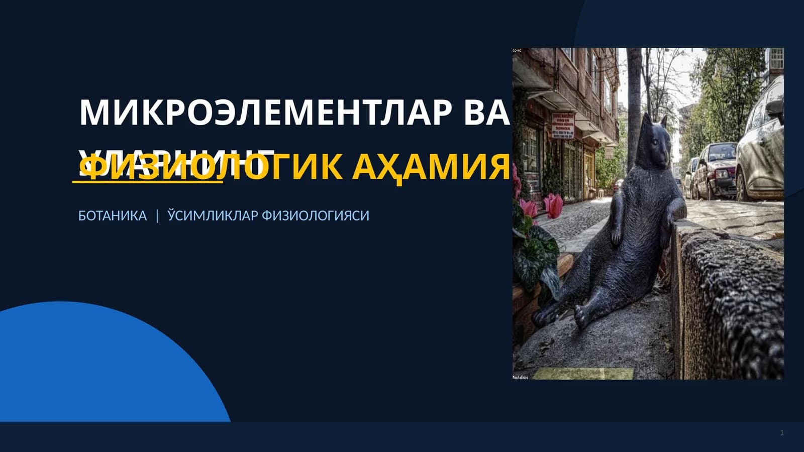 МИКРОЭЛЕМЕНТЛАР ВА УЛАРНИНГ
