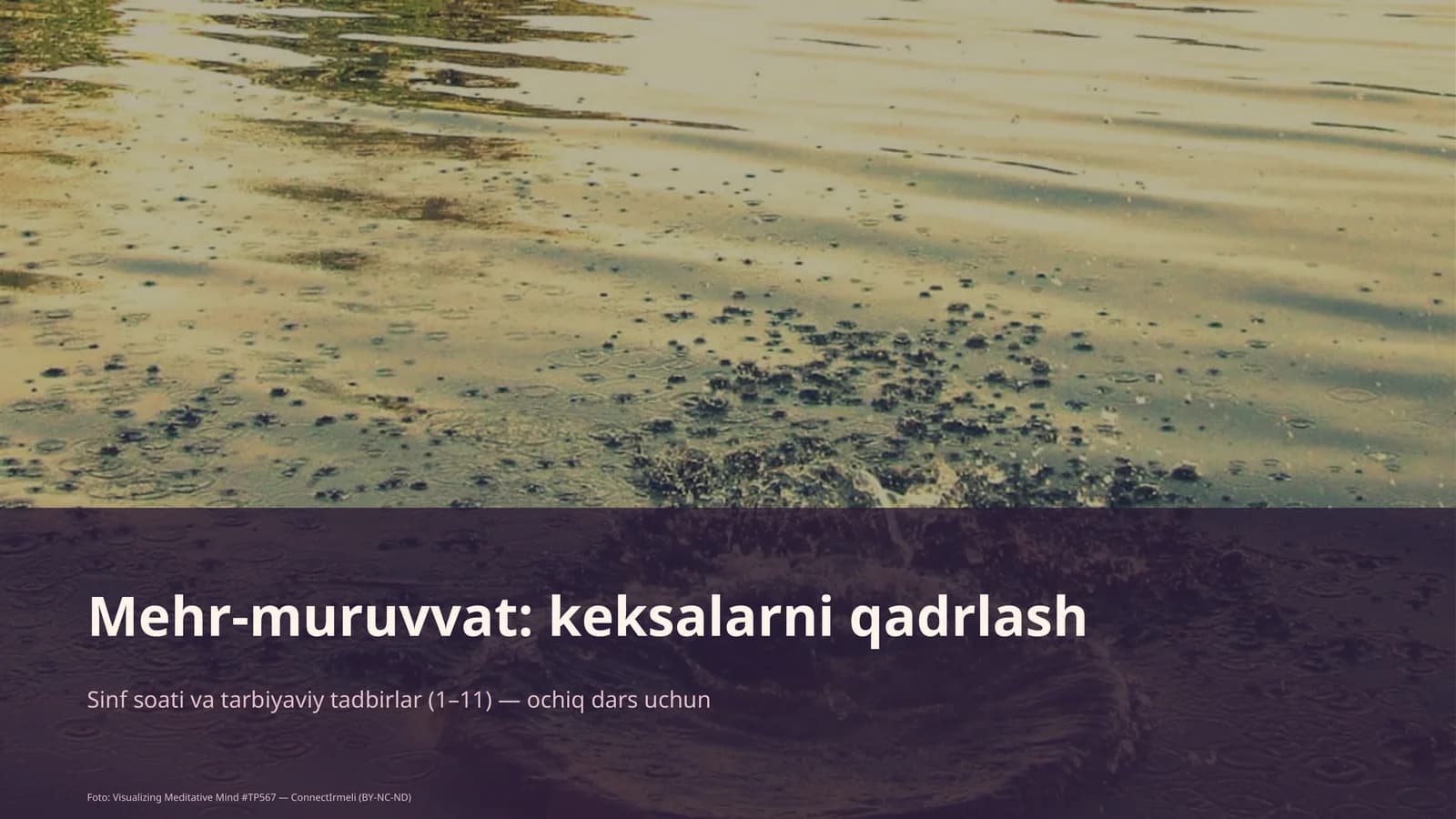 Mehr-muruvvat: keksalarni qadrlash