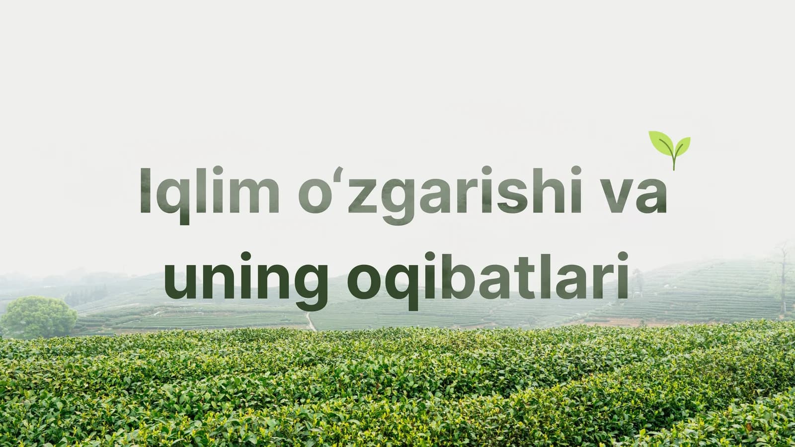 Iqlim o‘zgarishi va uning oqibatlari