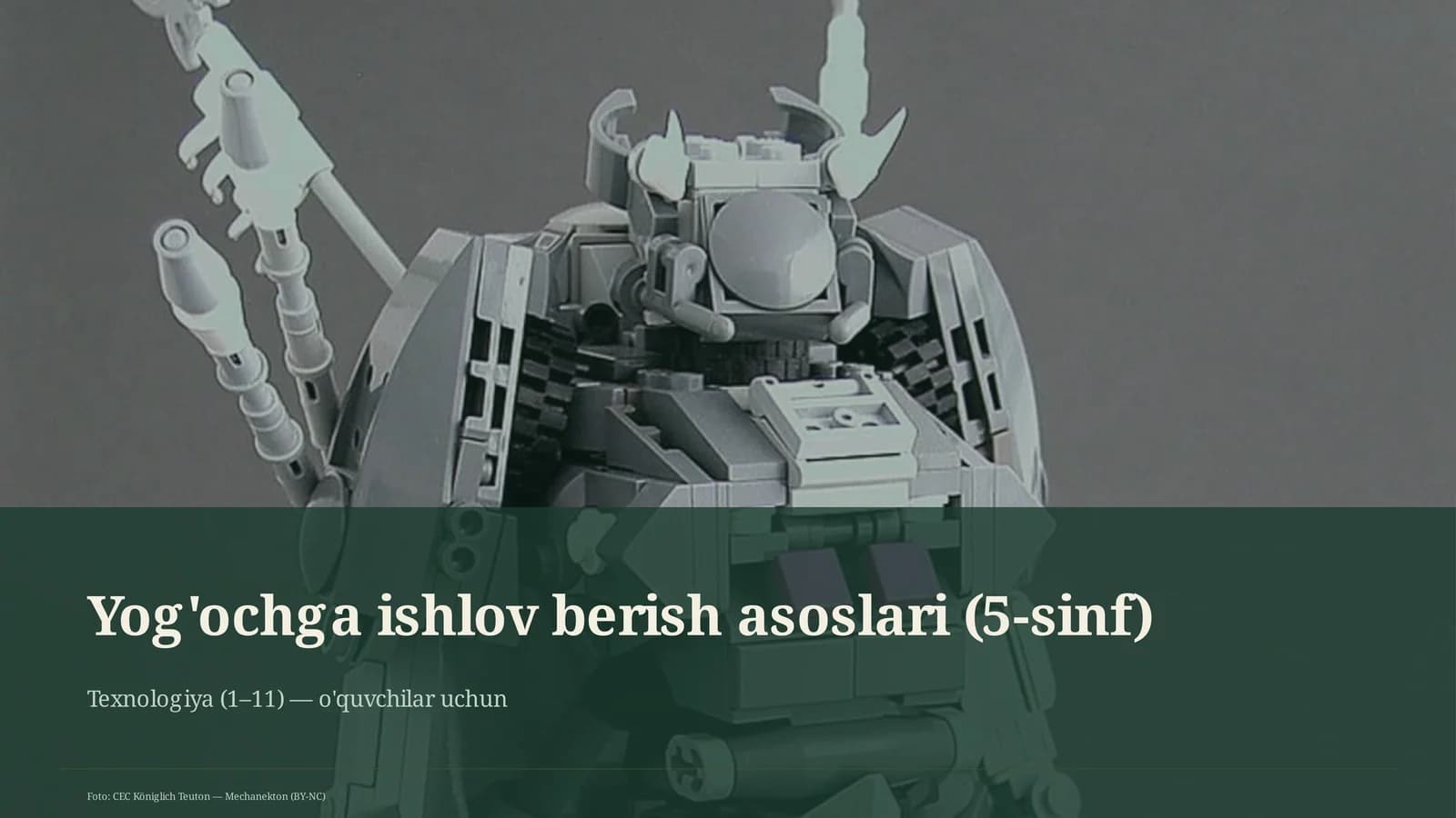 Yog'ochga ishlov berish asoslari (5-sinf)