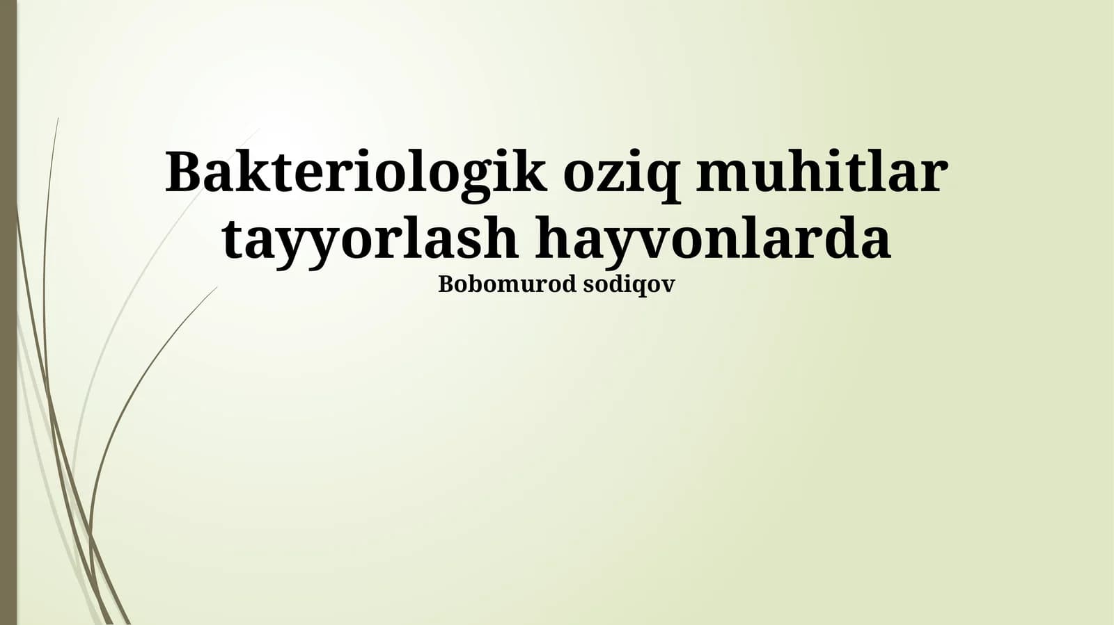 Bakteriologik oziq muhitlar tayyorlash hayvonlarda