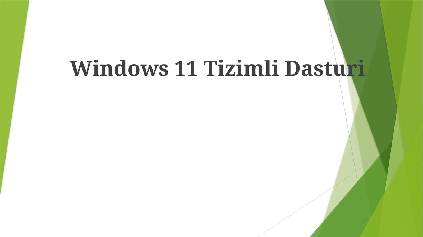 Windows 11TizimliDasturi