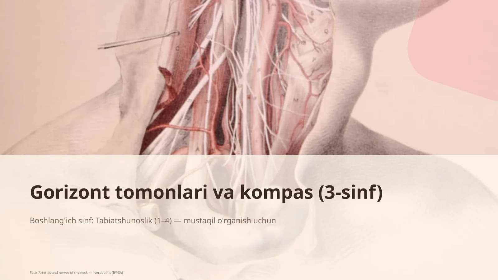 Gorizont tomonlari va kompas (3-sinf)
