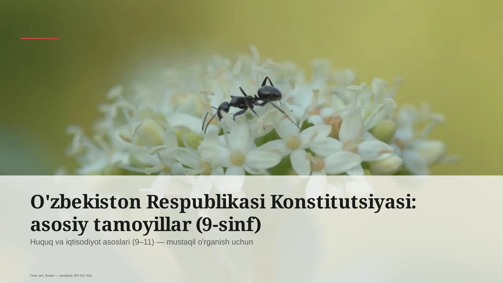 Huquq va iqtisodiyot asoslari (9–11)