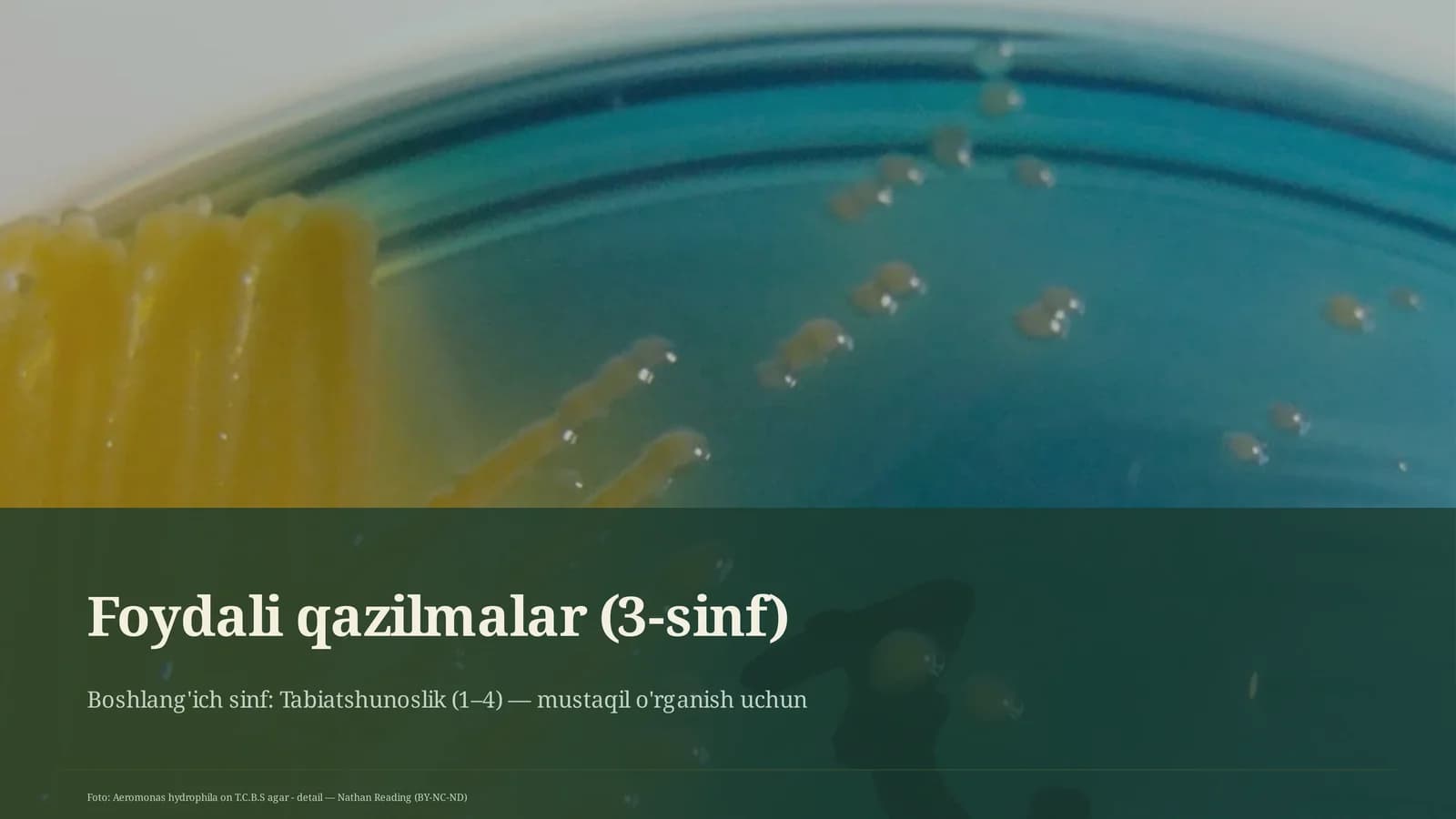 Foydali qazilmalar (3-sinf)