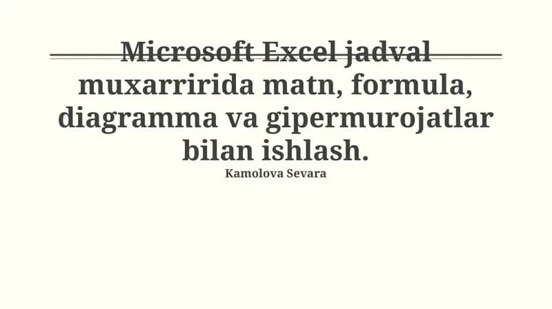 Microsoft Excel