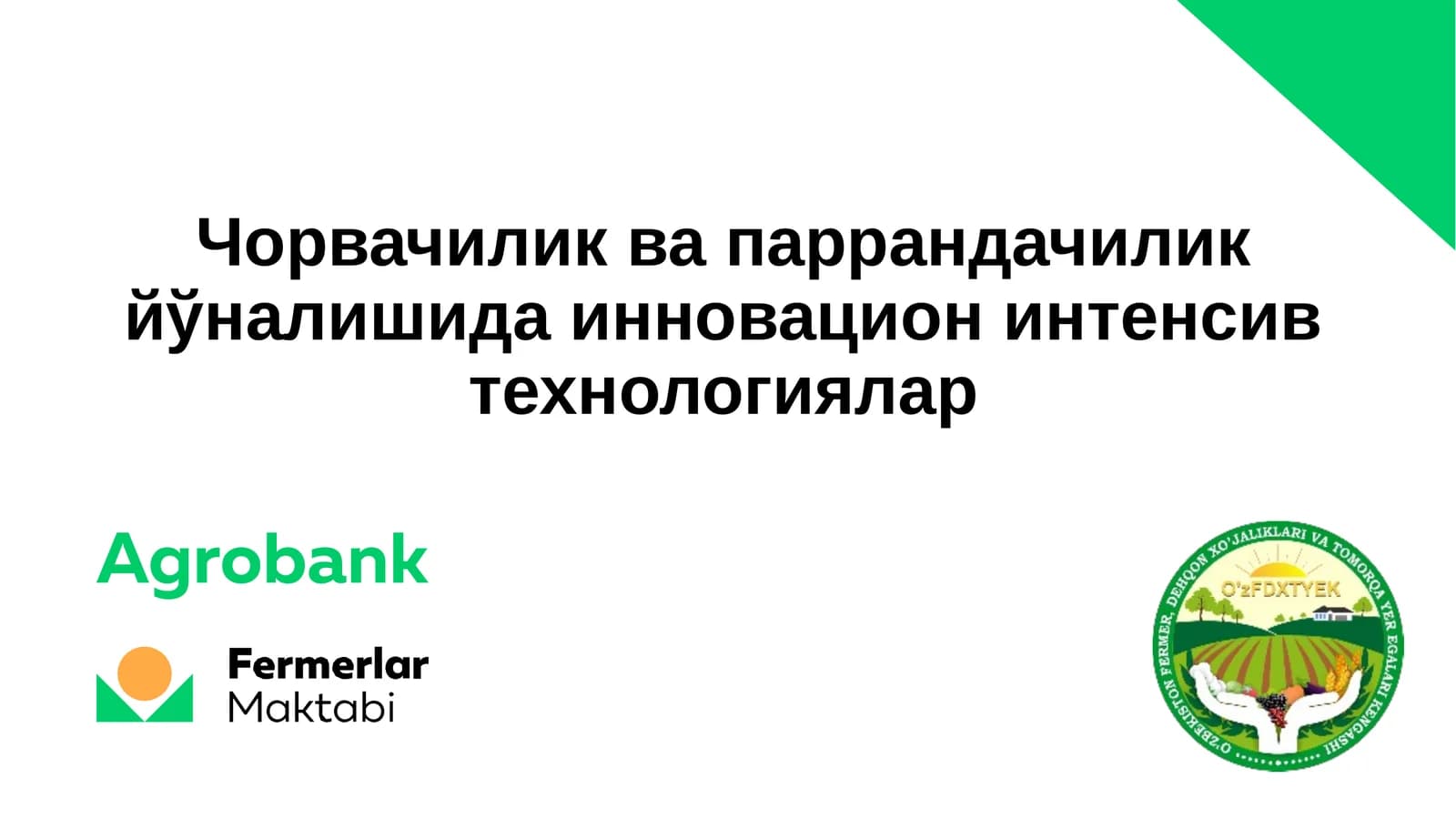 Чорвачиликда паррандачилик йўналишида инновацион интенсив технологиялар