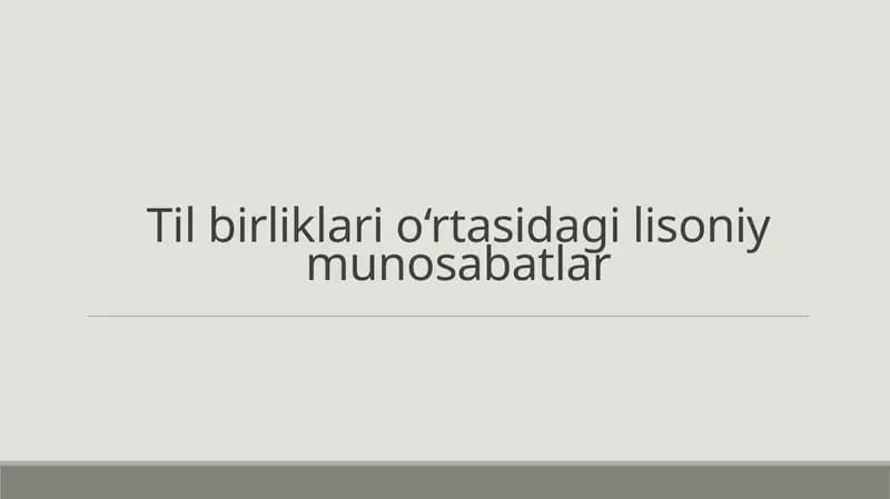 Til birliklari o'rtasida lisoniy munosabatlar